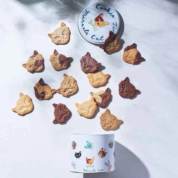 Fairycake Fair Miracle Cake Cookie Tin