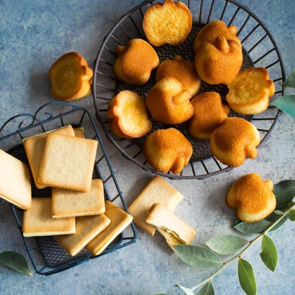Ringo Butter Apple Butter Financier Sandwich Cookie Assorted
