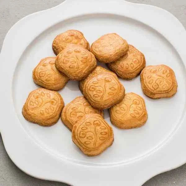 Shiseido Parlour Hanatsubaki Biscuit