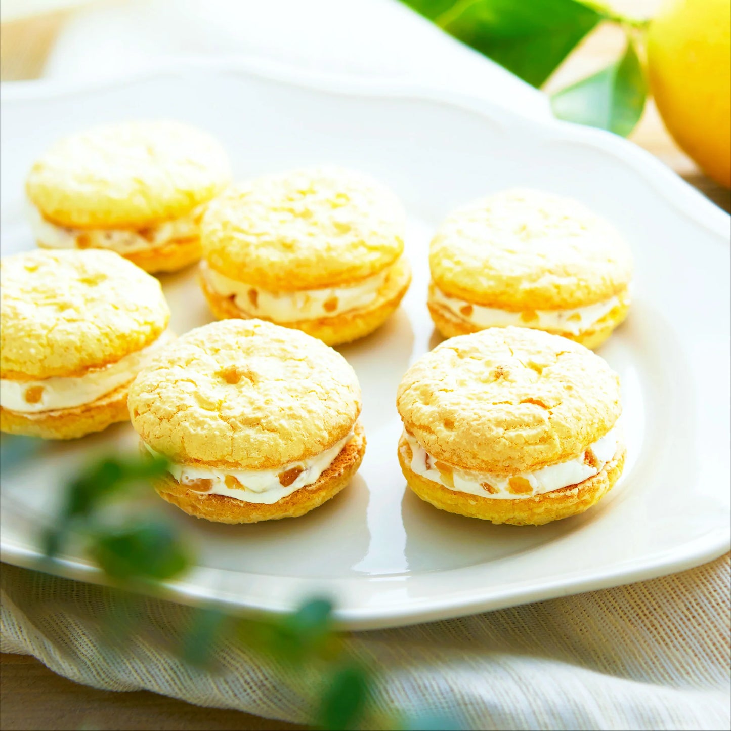 Tokyo Lemonche Fluffy Lemon Cream Sandwich