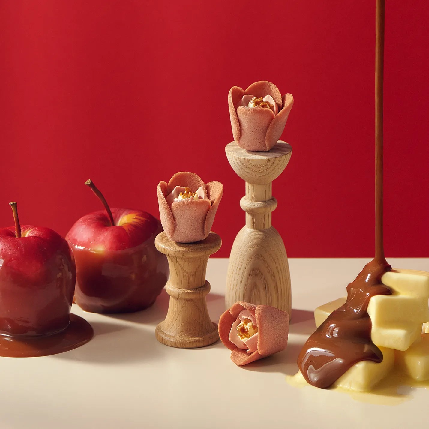 Tokyo Tulip Rose Langue De Chat Seasonal