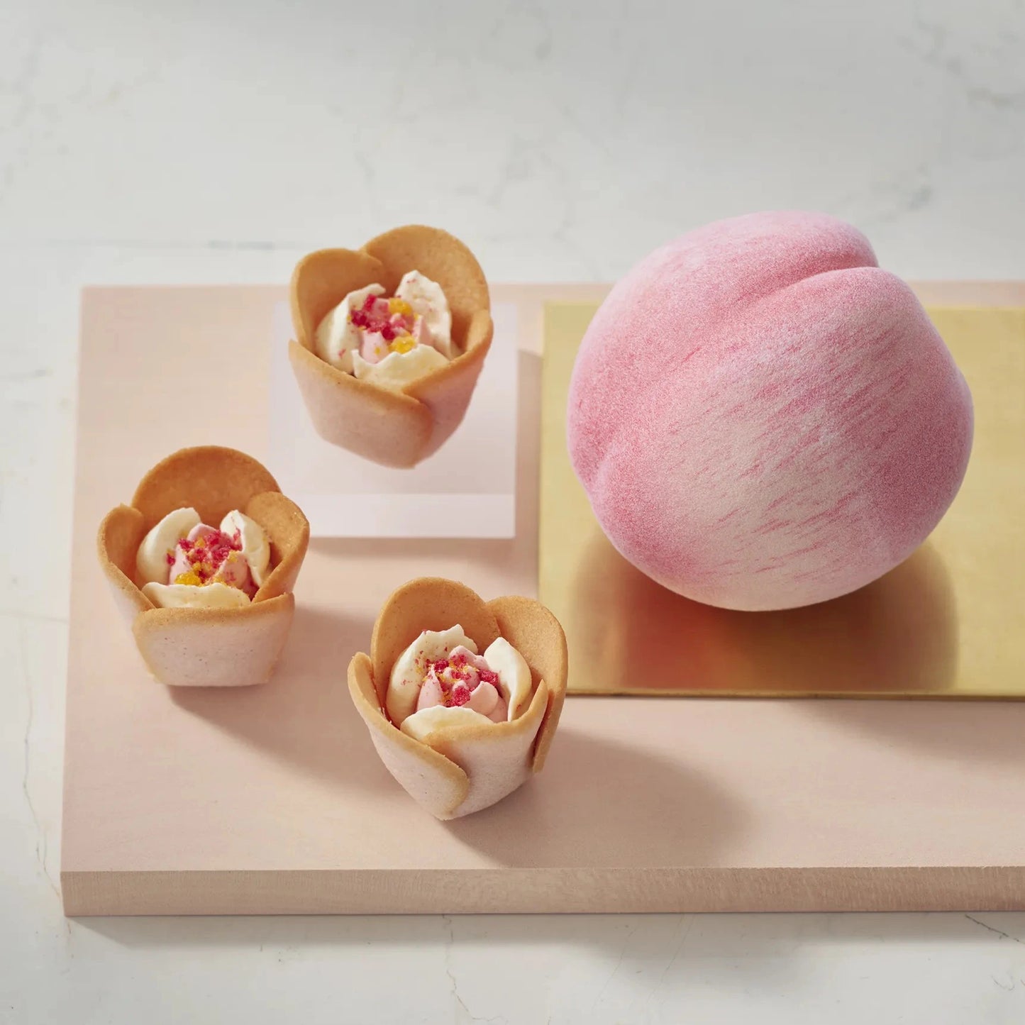 Tokyo Tulip Rose Langue De Chat Seasonal